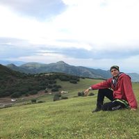 Babak Alirezaei VA的照片