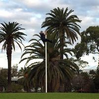 Fotos de Yuta Watanabe