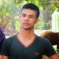 alireza azarboo的照片