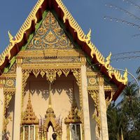 Afshin Ansari's Photo