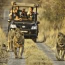 Kruger National Park's picture