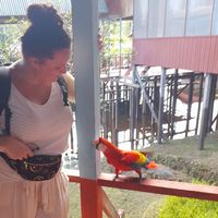 Emma Gleeson's Photo