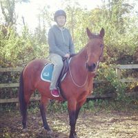 Jaymz Bolger的照片