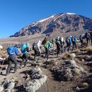 Kilimanjaro Trekking Machame Route 6 Days  's picture