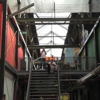 Celeste Bischoff的照片