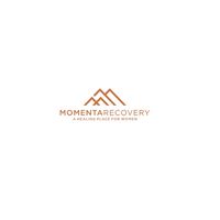 Momenta  Recovery的照片
