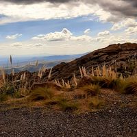 Brenda Yelting's Photo