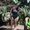 Aylyn Almerida's Photo