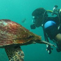 G J A A  GONZALEZ的照片