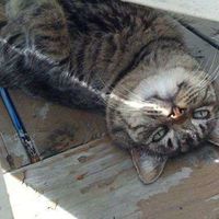 Bonnie Madland's Photo