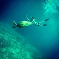 Fred Corthorn的照片