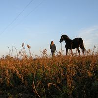 Фотографии пользователя Madeleine and Nickola