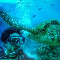 Photos de Aeson Chen