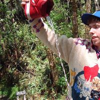 Brian Curtis's Photo