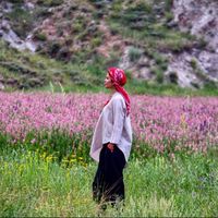 Dina Akbari的照片