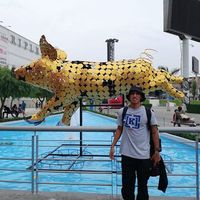 José Flores Coronado's Photo