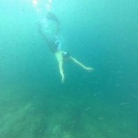 Naoki Hashimoto's Photo