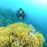 Iñaki Lacomba的照片