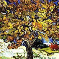 Iulius Reyes's Photo