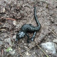 Volker Schulze's Photo