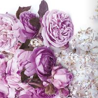 Vanessa 🌷's Photo