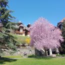 One Day Excursion In West Serbia's picture