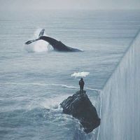 Grain de Ciel的照片