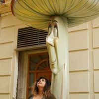 Negeen Etemad的照片