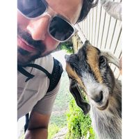 Фотографии пользователя Zafar Wani