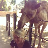 Leslie Lewis's Photo