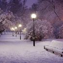 Sunday walk in Kadriorg park, Tallinn's picture