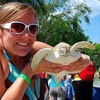 Shannon McDonald's Photo