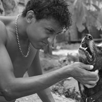 adailton rodrigues  santos's Photo