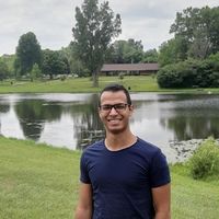 Mohammed Gamal的照片