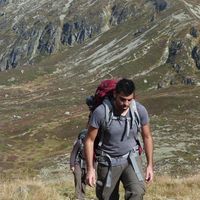 Shlomi Cohen的照片