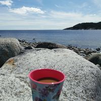 Anneli Flodin的照片