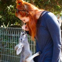 Sarah Kovacs's Photo