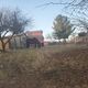 Photo of P