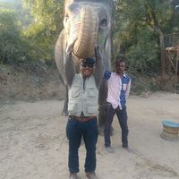 Narendra Sharma的照片