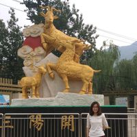 Fotos von Liping Wang