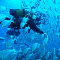 Photos de Rebecca Giarola