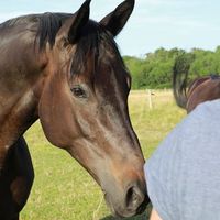 Harald Mattern的照片