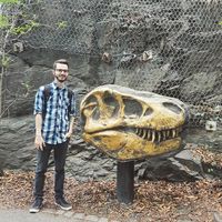 Zdjęcia użytkownika Pal Oro