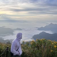 Anas Hajlaoui的照片