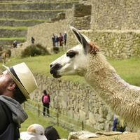 Fotos de gauthier Marbaix