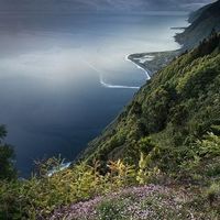 Aadam Alnumairi's Photo