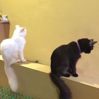 marry alarcon的照片