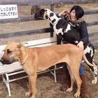 Reiko Shiratani's Photo