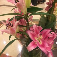 Zdjęcia użytkownika mimi mimi