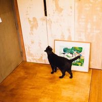 Yuchi Wu's Photo